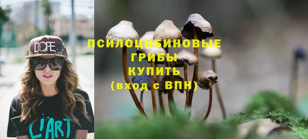 синтетический гашиш Абдулино